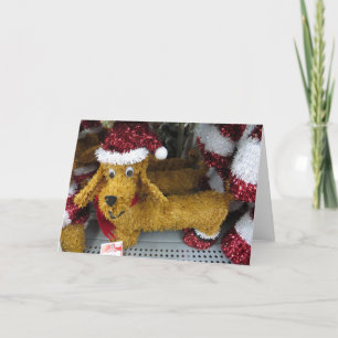 Cartes Pour Fêtes Annuelles Teckel de Noël