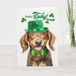 Cartes Pour Fêtes Annuelles Teckel marron sentant la chance pour la Saint-Patr