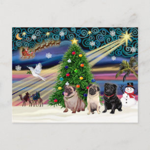 Cartes Pour Fêtes Annuelles Teckels de Noël Magiques (trois, 2 fauve, 1 noir)