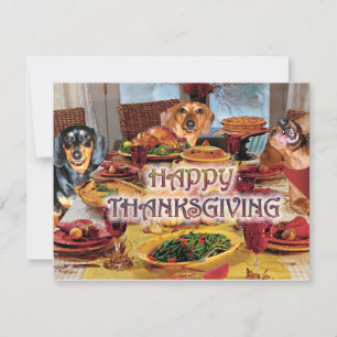 Cartes Pour Fêtes Annuelles Teckels de thanksgiving