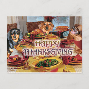 Cartes Pour Fêtes Annuelles Teckels de thanksgiving