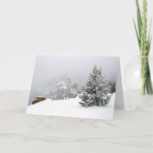 Cartes Pour Fêtes Annuelles Tempête de neige aux chiffons