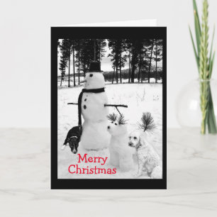 CARTES POUR FÊTES ANNUELLES TEMPS POUR NEIGE/FUN/VOEUX DE JOYEUX NOËL
