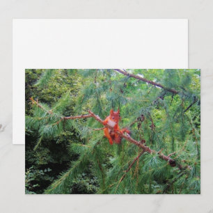 Cartes Pour Fêtes Annuelles Tenir bon