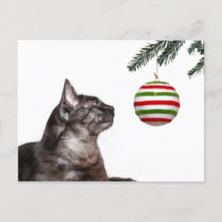 Cartes Pour Fêtes Annuelles Tentation de Noël