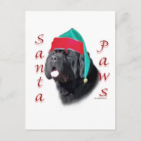 Terre-Neuve (noir) Père Noël Paws