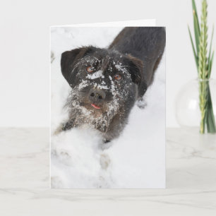 Cartes Pour Fêtes Annuelles Terrier avec Noël neigeux de nez