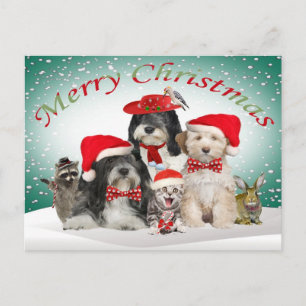 Cartes Pour Fêtes Annuelles Terrier Christmas With Friends