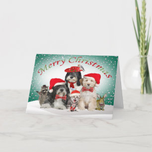 Cartes Pour Fêtes Annuelles Terrier Christmas With Friends