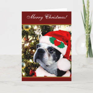 Cartes Pour Fêtes Annuelles Terrier de Boston de Joyeux Noël