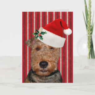 Cartes Pour Fêtes Annuelles Terrier gallois festif