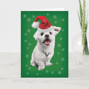 Cartes Pour Fêtes Annuelles Terrier Maltais Avec Noël Chapeau