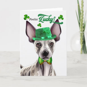 Cartes Pour Fêtes Annuelles Terrier sans cheveux Feelin' Lucky St Patrick's Da