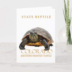 Cartes Pour Fêtes Annuelles Territoire du Colorado Reptile Tortue peinte occid