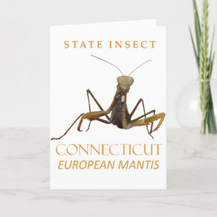 Cartes Pour Fêtes Annuelles Territoire du Connecticut Insecte La Mante Europée