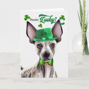 Cartes Pour Fêtes Annuelles Tervueren sans poils se sentant chanceux à la Sain