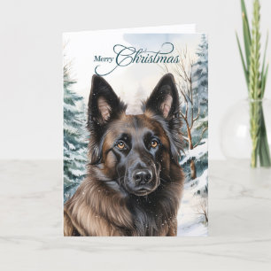 Cartes Pour Fêtes Annuelles Tervuren Belgique Forêt forestière Joyeux Noël