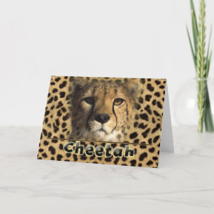 CARTES POUR FÊTES ANNUELLES TÊTE CHEETAH