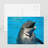 Cartes Pour Fêtes Annuelles Tête de dauphin à bec (Devant / Derrière)