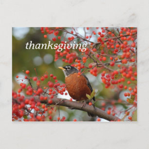 Cartes Pour Fêtes Annuelles thanksgiving