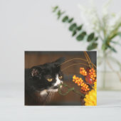 Cartes Pour Fêtes Annuelles Thanksgiving (Debout devant)