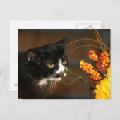 Cartes Pour Fêtes Annuelles Thanksgiving (Devant / Derrière)