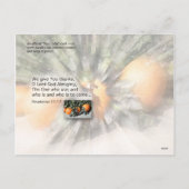 Cartes Pour Fêtes Annuelles Thanksgiving 1 (Dos)