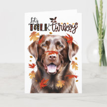 Thanksgiving Chocolat Lab Dog Parlons Turquie
