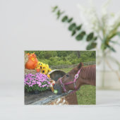 Cartes Pour Fêtes Annuelles Thanksgiving de cheval (Debout devant)