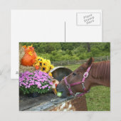 Cartes Pour Fêtes Annuelles Thanksgiving de cheval (Devant / Derrière)