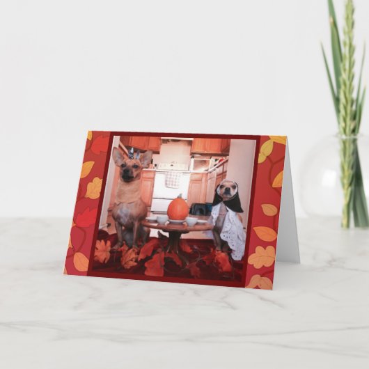 Cartes Pour Fêtes Annuelles Thanksgiving de chien (Devant)