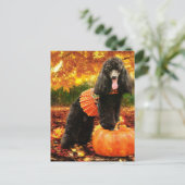 Cartes Pour Fêtes Annuelles Thanksgiving de chute - Gidget - caniche (Debout devant)