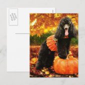 Cartes Pour Fêtes Annuelles Thanksgiving de chute - Gidget - caniche (Devant / Derrière)