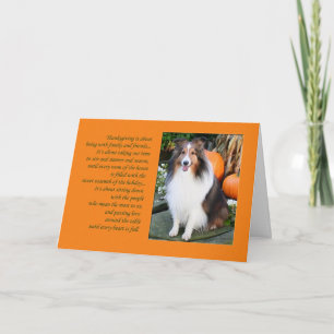 Cartes Pour Fêtes Annuelles Thanksgiving est...Sheltie Card