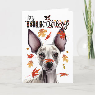 Cartes Pour Fêtes Annuelles Thanksgiving Hairless Terrier Parlons Turquie