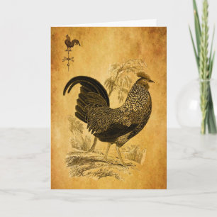 Cartes Pour Fêtes Annuelles Thanksgiving Rooster