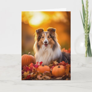 Cartes Pour Fêtes Annuelles Thanksgiving Sheltie
