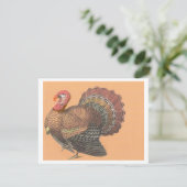 Cartes Pour Fêtes Annuelles Thanksgiving Turquie (Debout devant)
