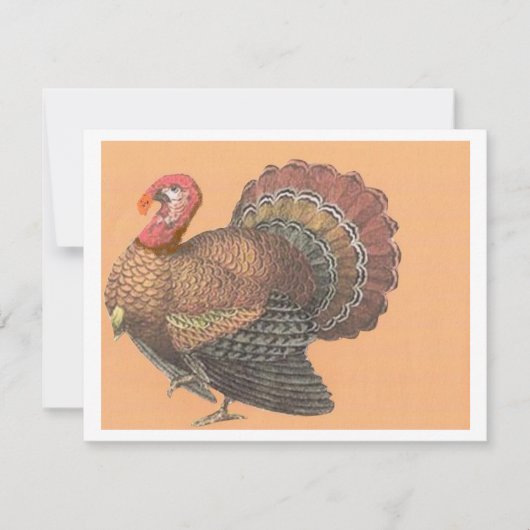Cartes Pour Fêtes Annuelles Thanksgiving Turquie (Devant)