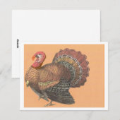 Cartes Pour Fêtes Annuelles Thanksgiving Turquie (Devant / Derrière)