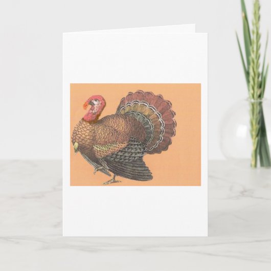 Cartes Pour Fêtes Annuelles Thanksgiving Turquie (Devant)