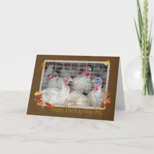 Cartes Pour Fêtes Annuelles Thanksgiving Turquie