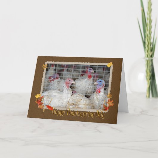 Cartes Pour Fêtes Annuelles Thanksgiving Turquie (Devant)