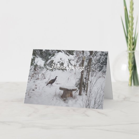 Cartes Pour Fêtes Annuelles Thanksgiving Turquie (Devant)