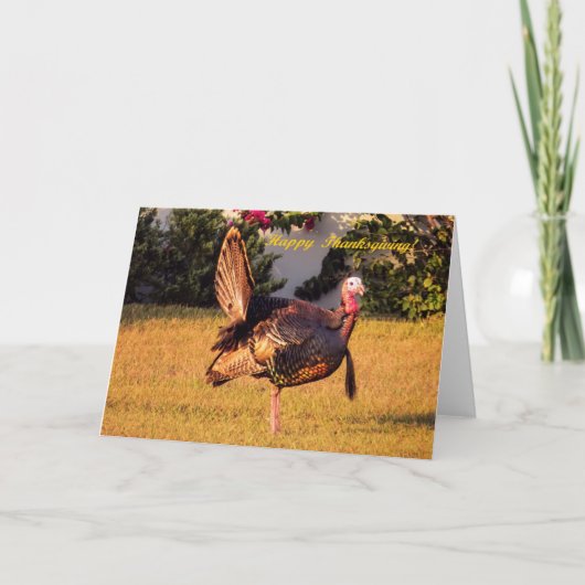 Cartes Pour Fêtes Annuelles Thanksgiving Turquie (Devant)