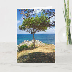 Cartes Pour Fêtes Annuelles The Sicilian Tree