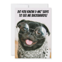 Théorie animale de chien de Pékinois mignon et drô