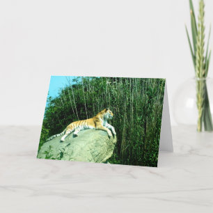 Cartes Pour Fêtes Annuelles Tigre se relaxant