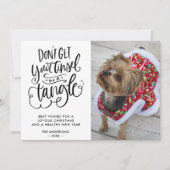 Cartes Pour Fêtes Annuelles Tinsel dans un Tangle Funny Chien Animal de compag (Devant)