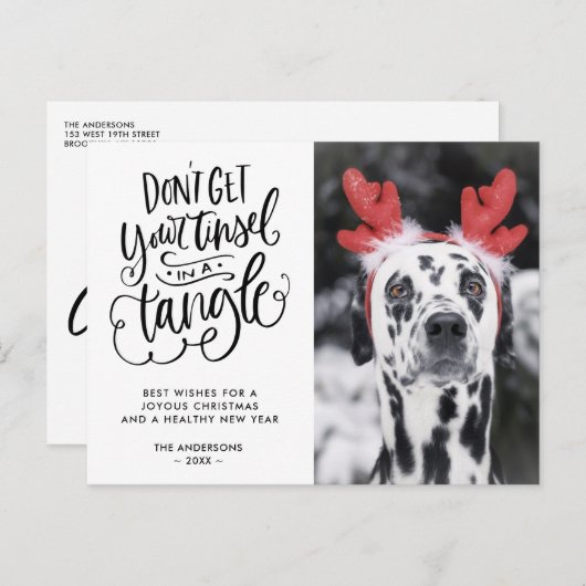 Cartes Pour Fêtes Annuelles Tinsel dans un Tangle Funny Chien Photo Noël (Devant / Derrière)